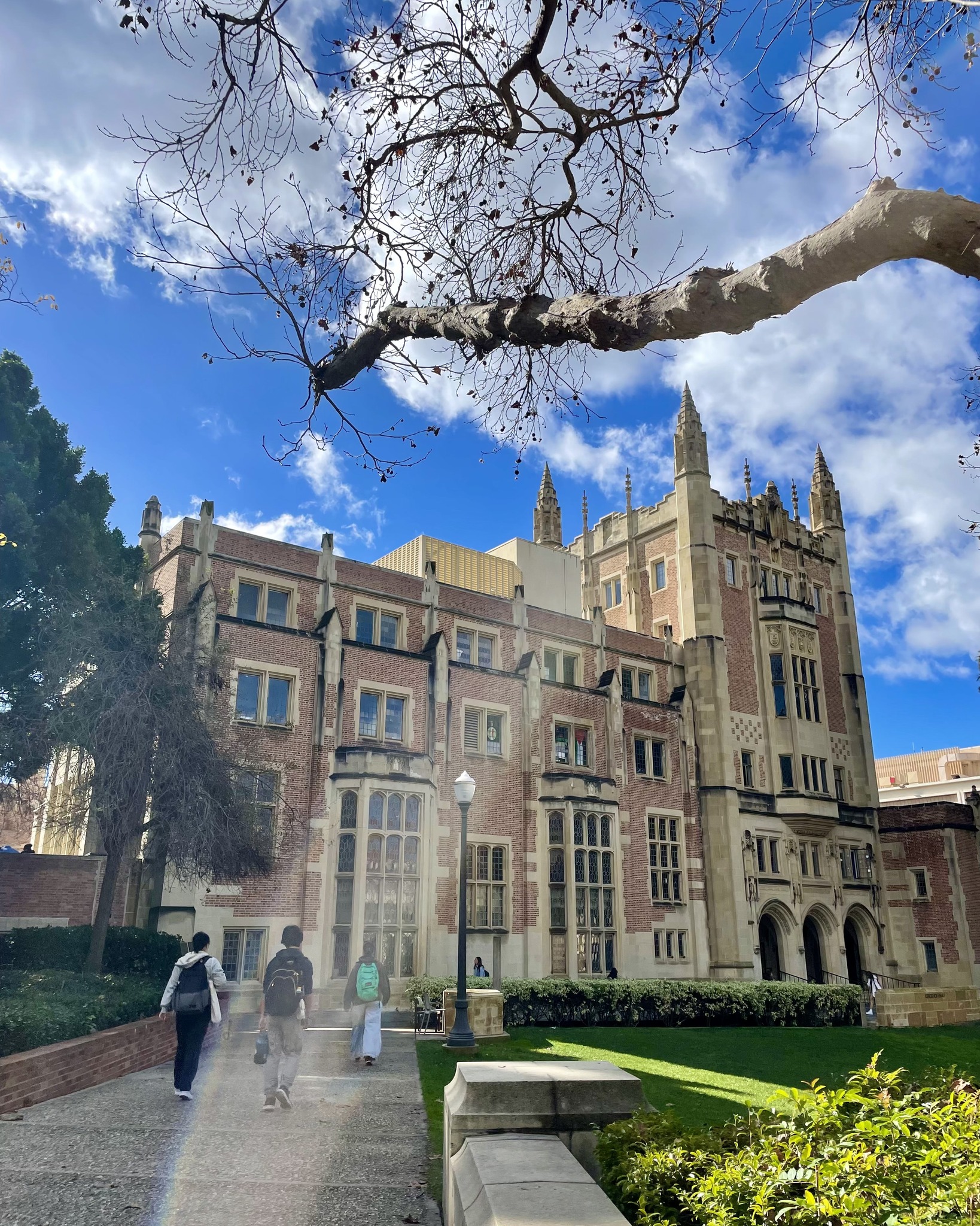 University of California, Los Angeles
