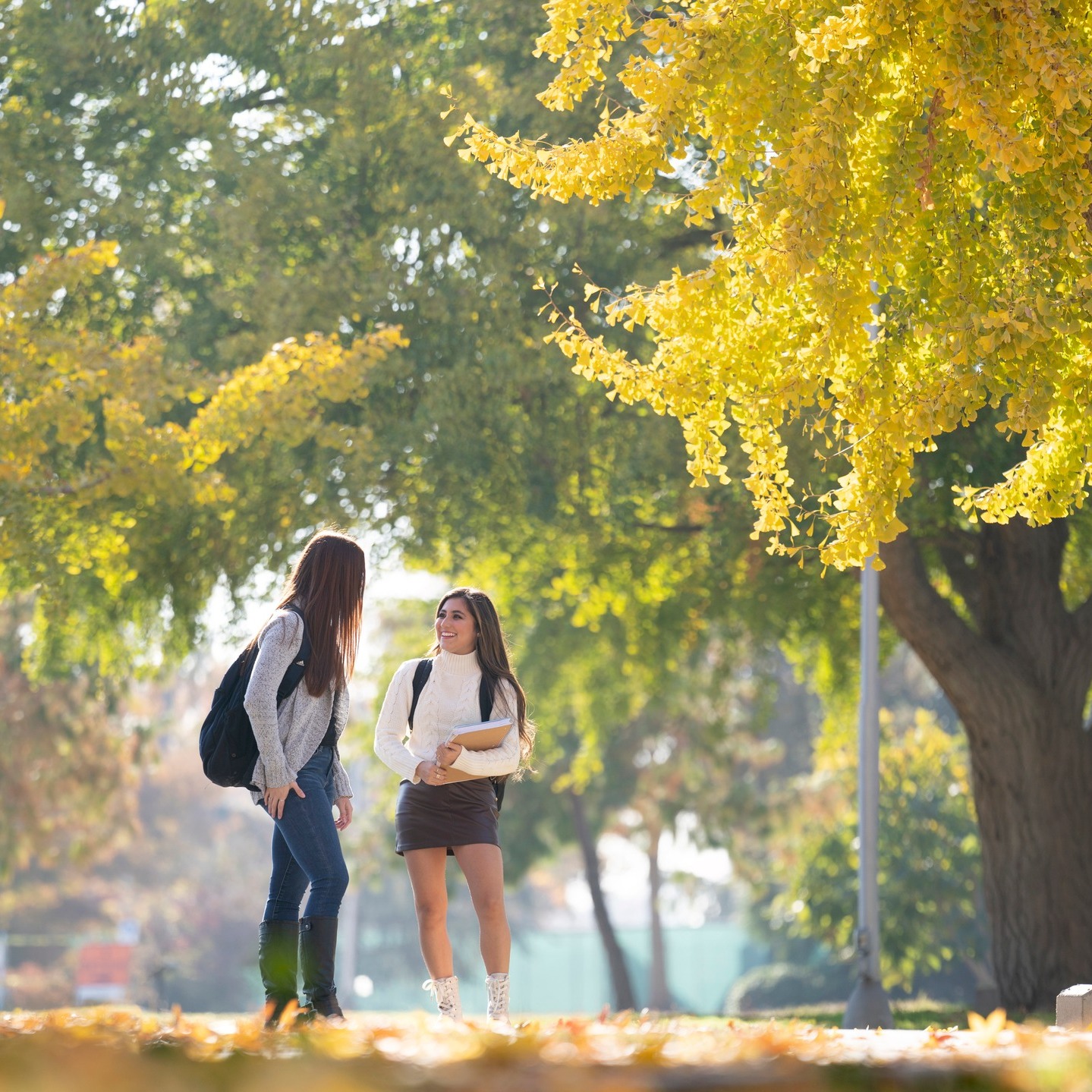 California State University, Fresno